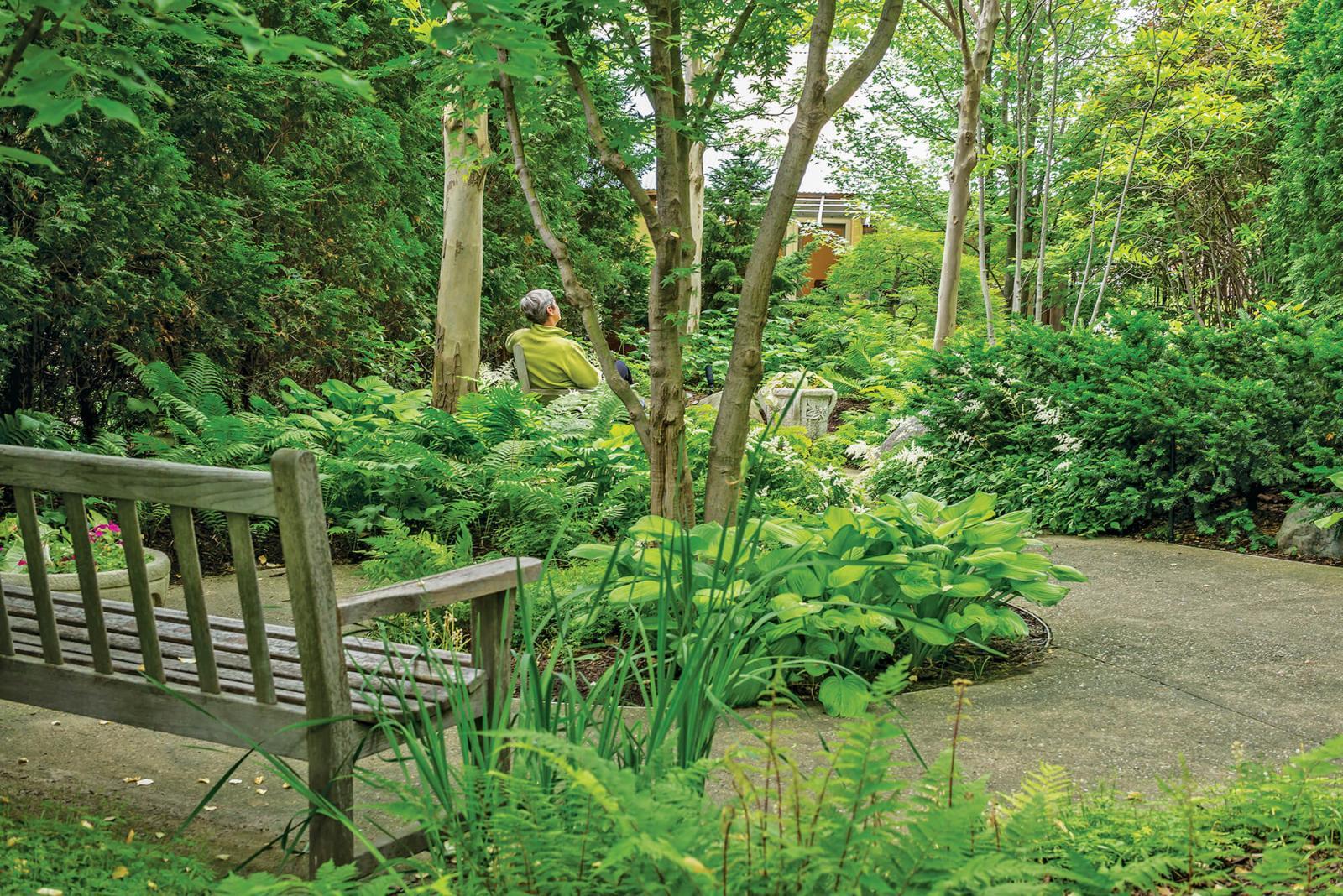 Healing Garden