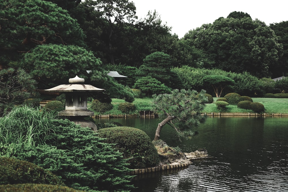 japanese-garden